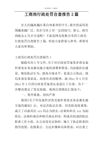 工商局行政处罚自查报告2篇