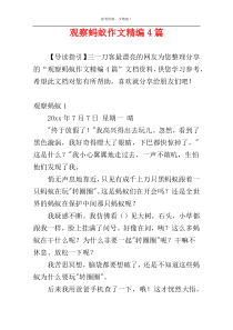 观察蚂蚁作文精编4篇