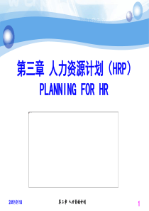 人力资源计划(HRP)