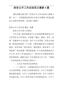 政务公开工作总结范文最新4篇