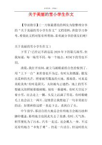 关于美丽的雪小学生作文