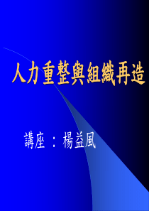 人力重整与组织再造