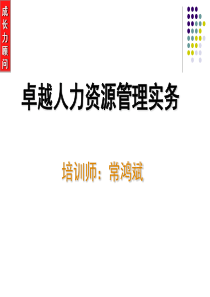 卓越人力资源管理实务