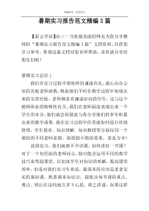 暑期实习报告范文精编3篇