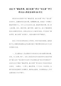 2022年“解放思想、振兴发展”研讨“回头看”学习研讨会心得发言材料930字文