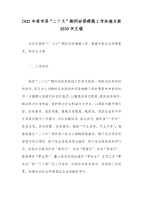 2022年某市县“二十大”期间安保维稳工作实施方案2630字文稿