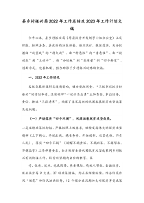 县乡村振兴局2022年工作总结及2023年工作计划文稿