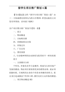 留学生项目推广策划4篇