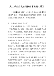 大二学生自我总结报告【范例4篇】