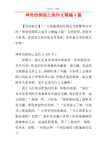 神奇的探险之旅作文精编4篇