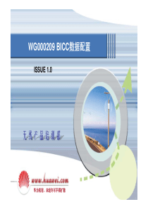 WG000209BICC数据配置ISSUE10