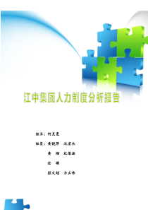 浅析江中集团人力资源管理