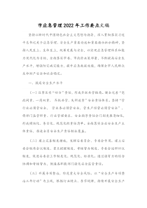 市应急管理2022年工作要点文稿