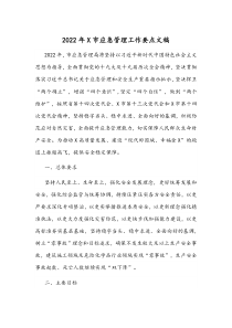 2022年X市应急管理工作要点文稿