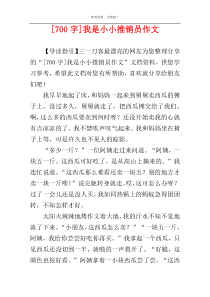 [700字]我是小小推销员作文