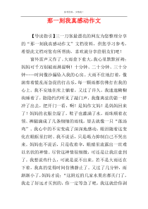 那一刻我真感动作文