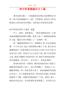 雨中即景精编作文4篇