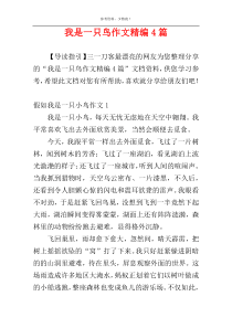 我是一只鸟作文精编4篇
