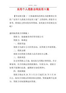 实用个人借款合同实用5篇