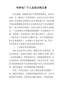 年终电厂个人总结示例五章