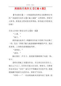 美丽的月亮作文【汇编4篇】
