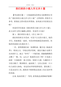 我们班的小能人作文共5篇