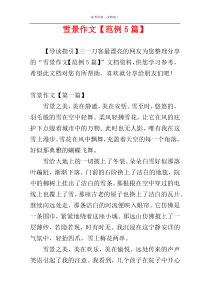 雪景作文【范例5篇】