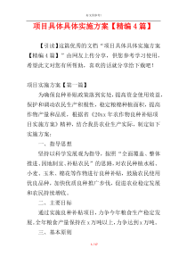 项目具体具体实施方案【精编4篇】