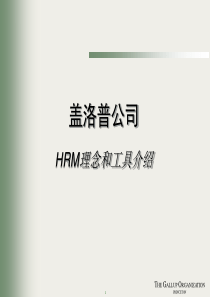 盖洛普公司--HRM理念和工具介绍