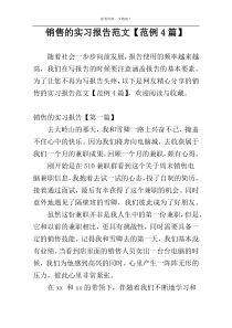 销售的实习报告范文【范例4篇】