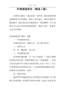 环境调查报告（精选4篇）