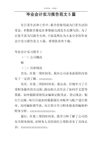 毕业会计实习报告范文5篇