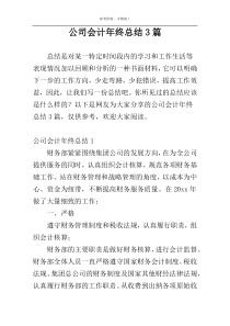 公司会计年终总结3篇