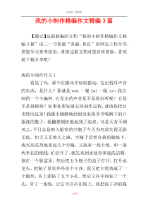 我的小制作精编作文精编3篇