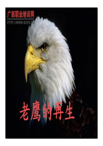 鹰的重生-人力资源经理、企业培训师培训专用
