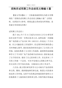 采购员试用期工作总结范文精编5篇