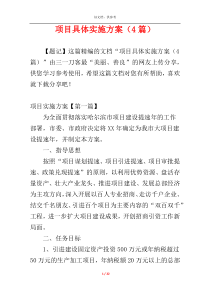项目具体实施方案（4篇）