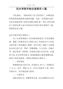 民办学校年检自查报告3篇