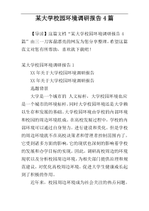 某大学校园环境调研报告4篇