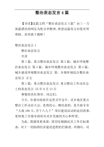 整治表态发言4篇