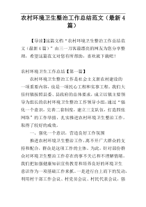 农村环境卫生整治工作总结范文（最新4篇）