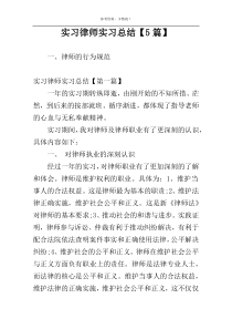 实习律师实习总结【5篇】