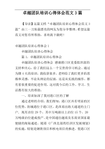 卓越团队培训心得体会范文3篇