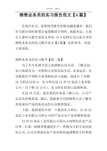 销售业务员的实习报告范文【4篇】