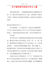 关于描写春节的初中作文4篇