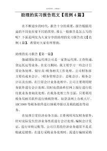 助理的实习报告范文【范例4篇】