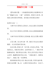 精编作文高一5篇