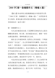 [800字]留一条缝隙作文（精编4篇）