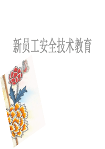 人力资源-新员工安全技术教育_(PPT 124页)