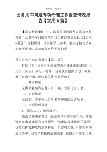 公务用车问题专项治理工作自查情况报告【实用5篇】